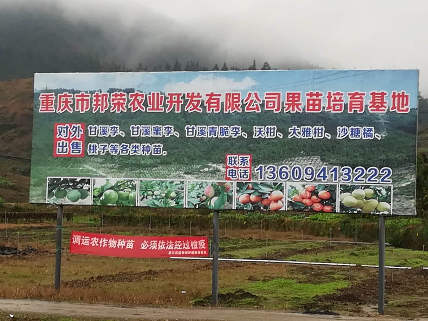 重庆风水大师高浦洪为农业产业化项目