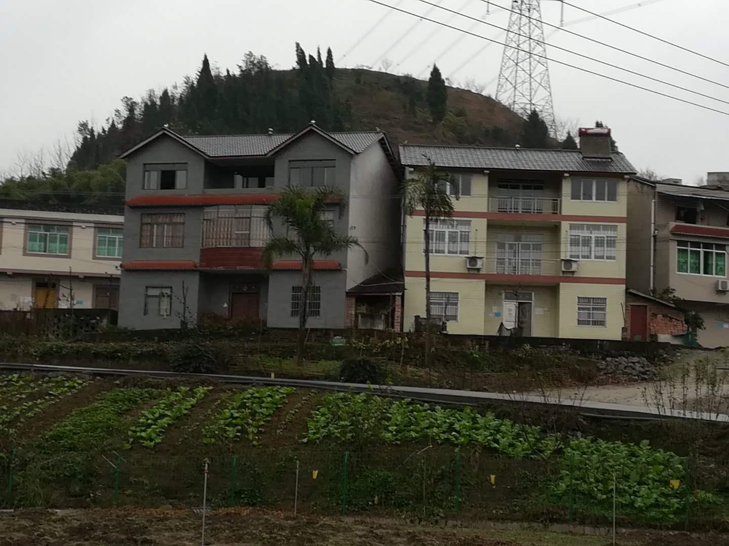 高浦洪