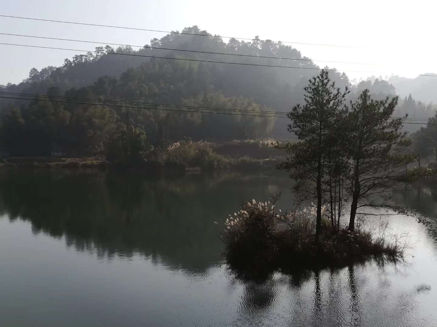 高浦洪