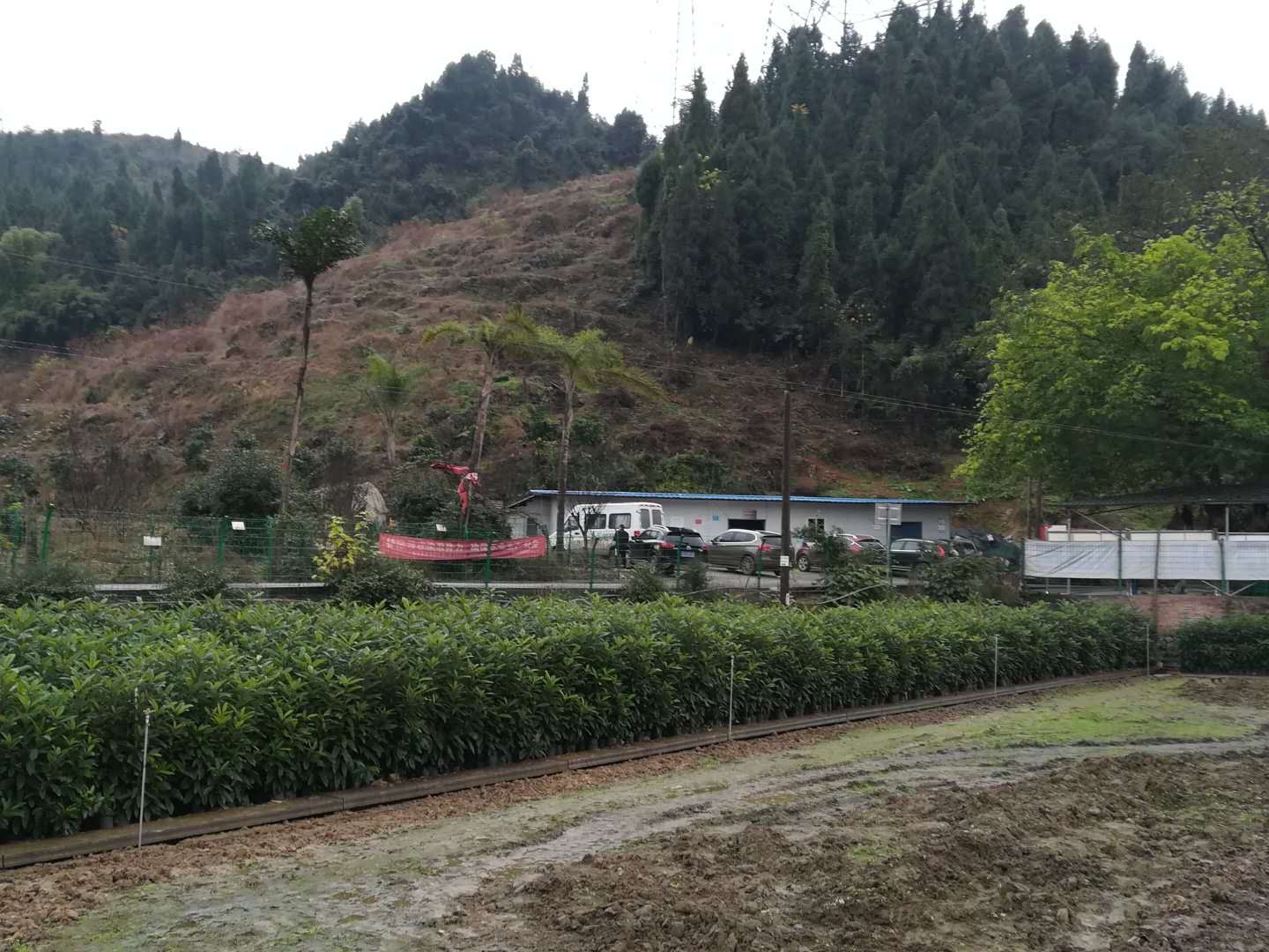 高浦洪