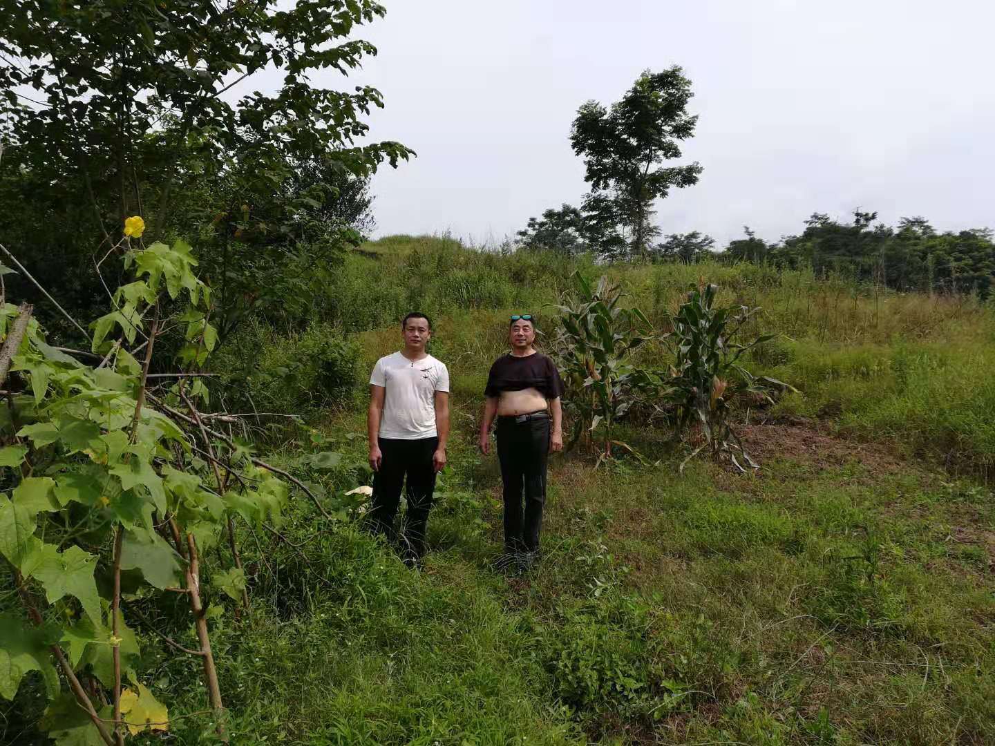 重庆风水大师​高浦洪洪7月6日在重庆市江津区广兴镇为福主老板看阴宅风水