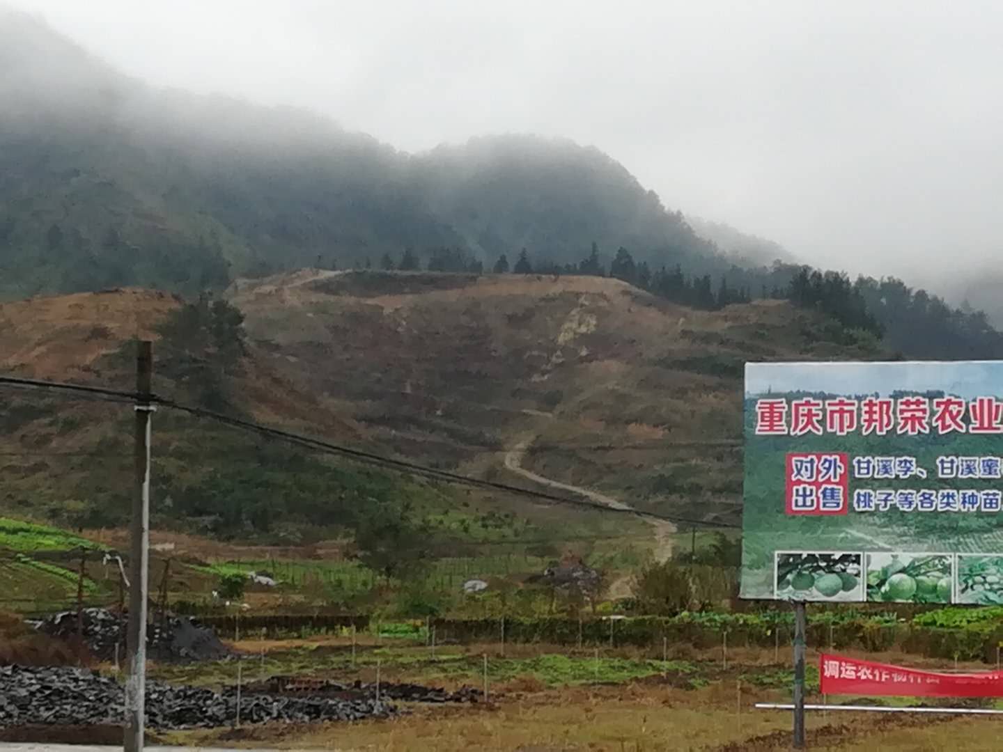 高浦洪