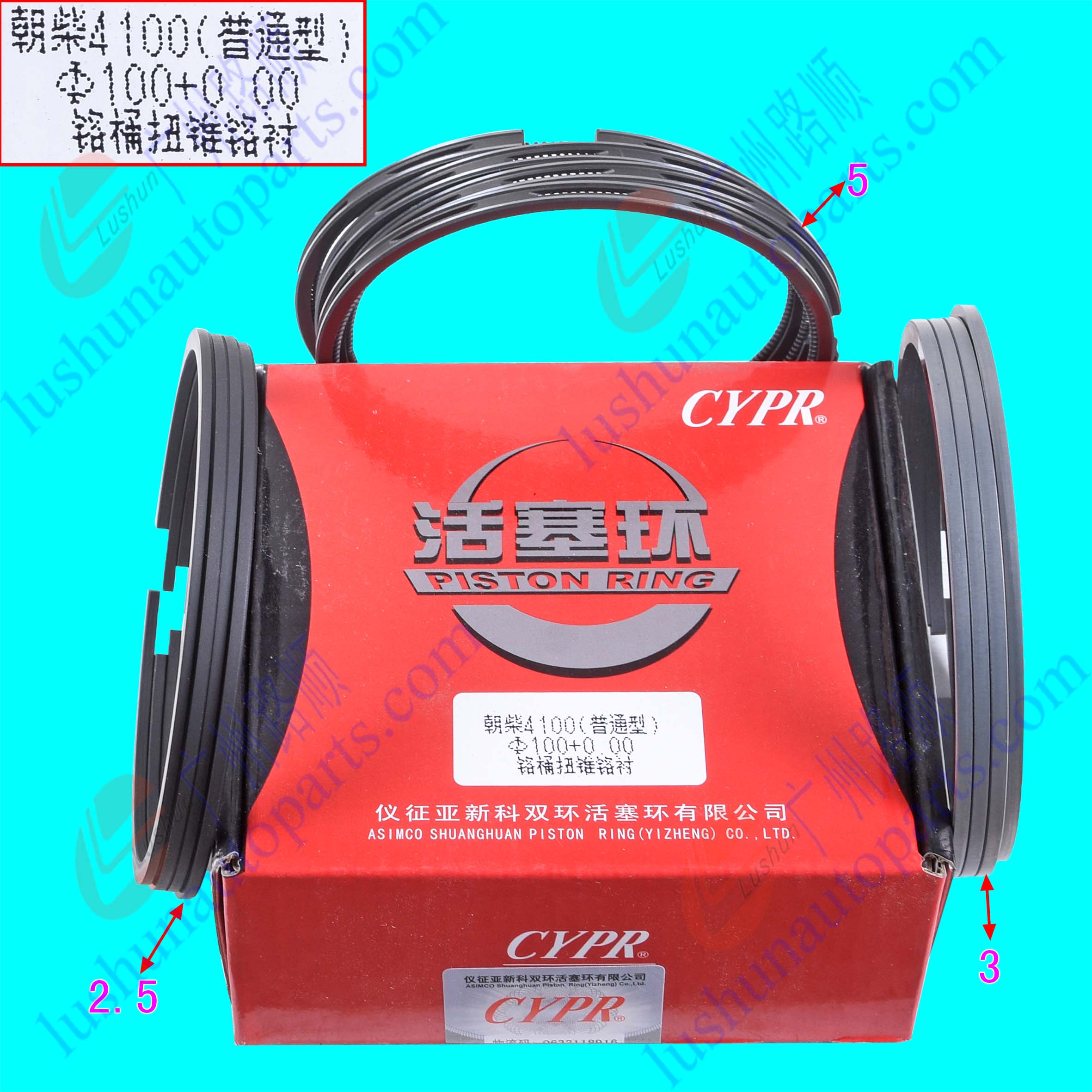 CY4100Q 活塞环