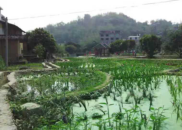 施工中河道生態(tài)修復(fù)處理案例