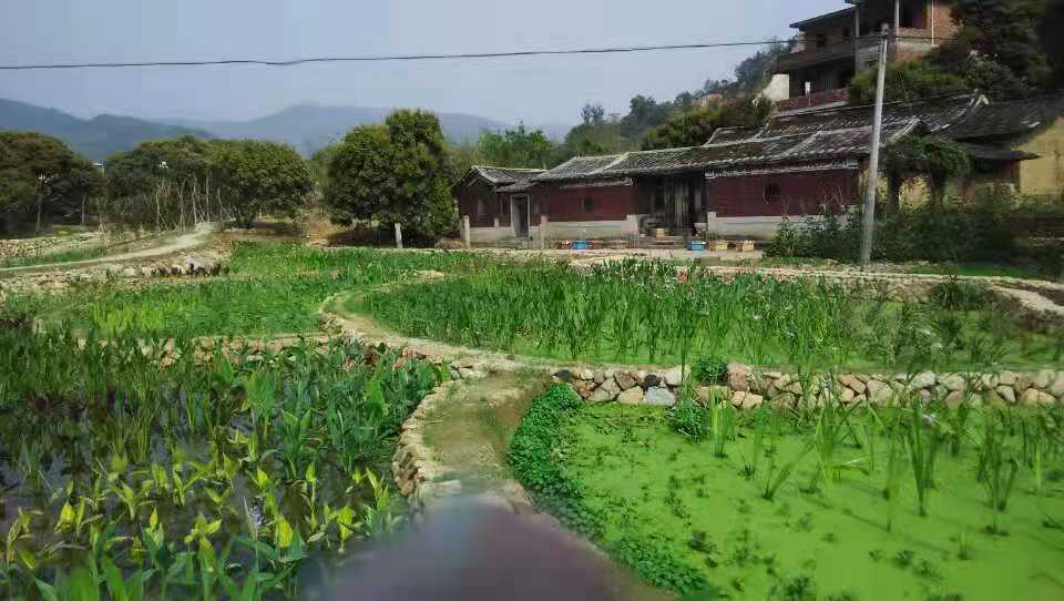 生態(tài)修復(fù)案例