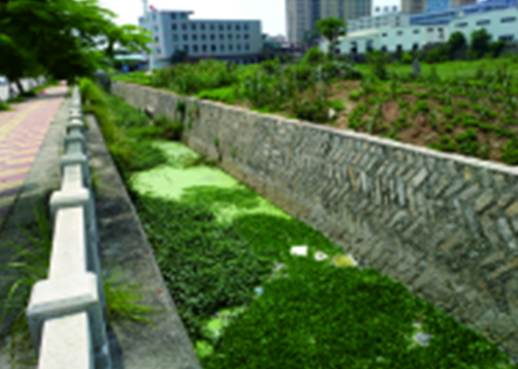 河道黑臭水體治理（前）