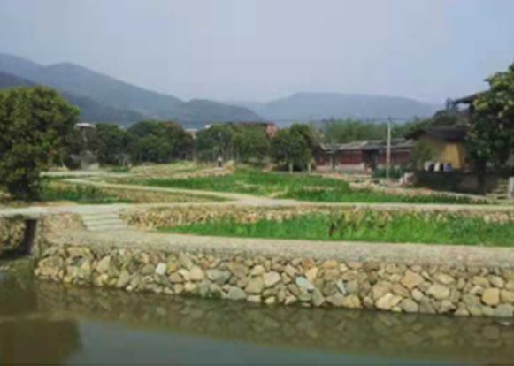 施工中河道生態(tài)修復(fù)處理案例