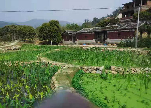 施工中河道生態(tài)修復(fù)處理案例