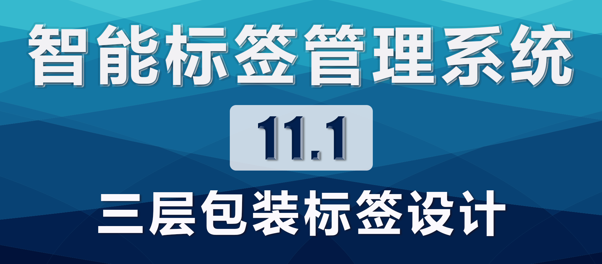 11.1.三层包装标签设计