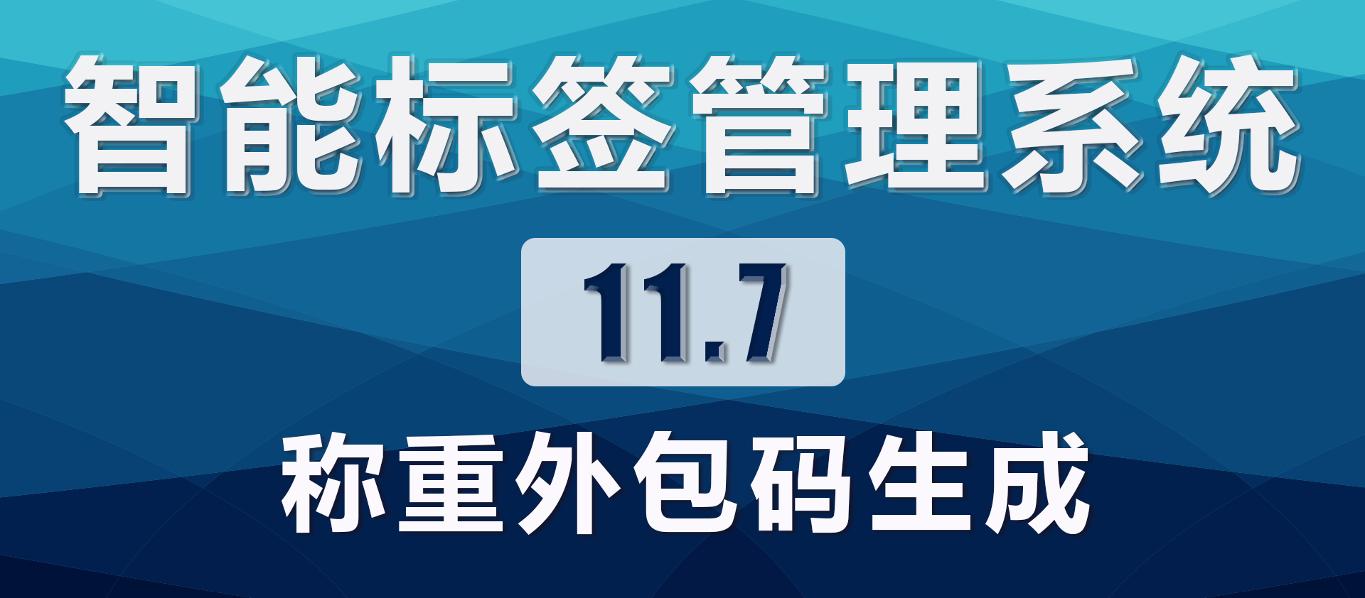 11.7.称重外包码生成