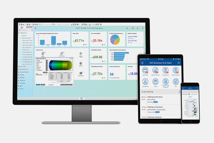 SAP Business One ERP