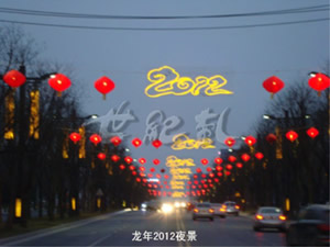 2017广东亮化
