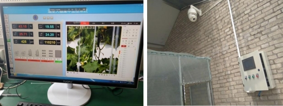 甘肅平涼—現代農業園區智能綜合監控系統