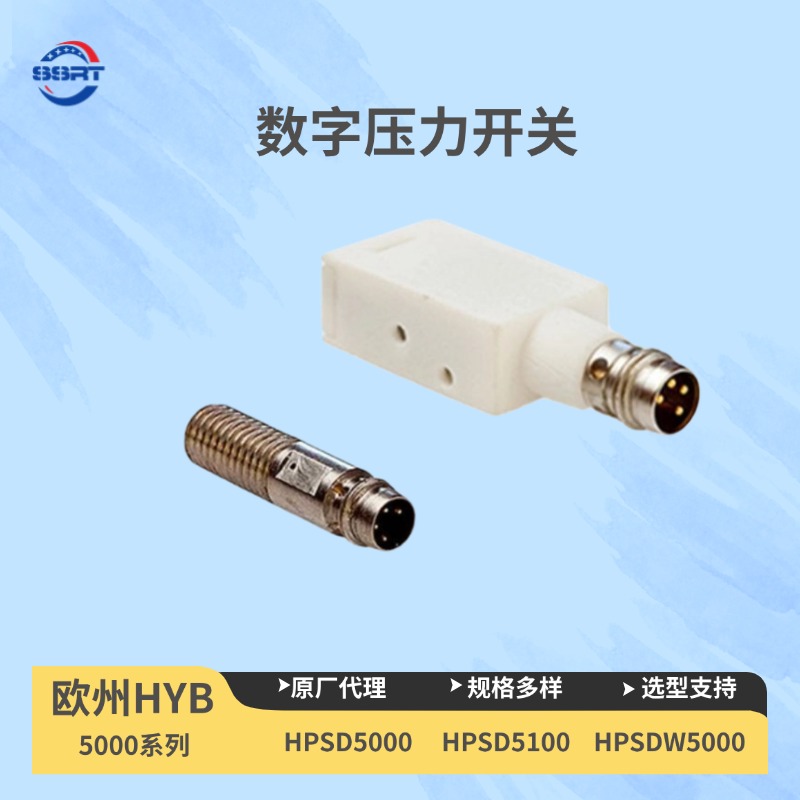 HPSDW 5000 压力开关EMC保护仪表配置