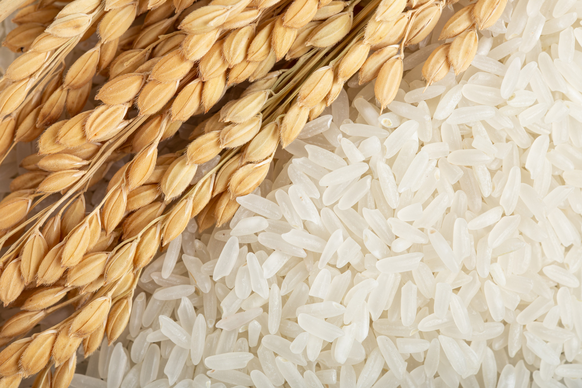 如何正确存储大米，保持大米新鲜