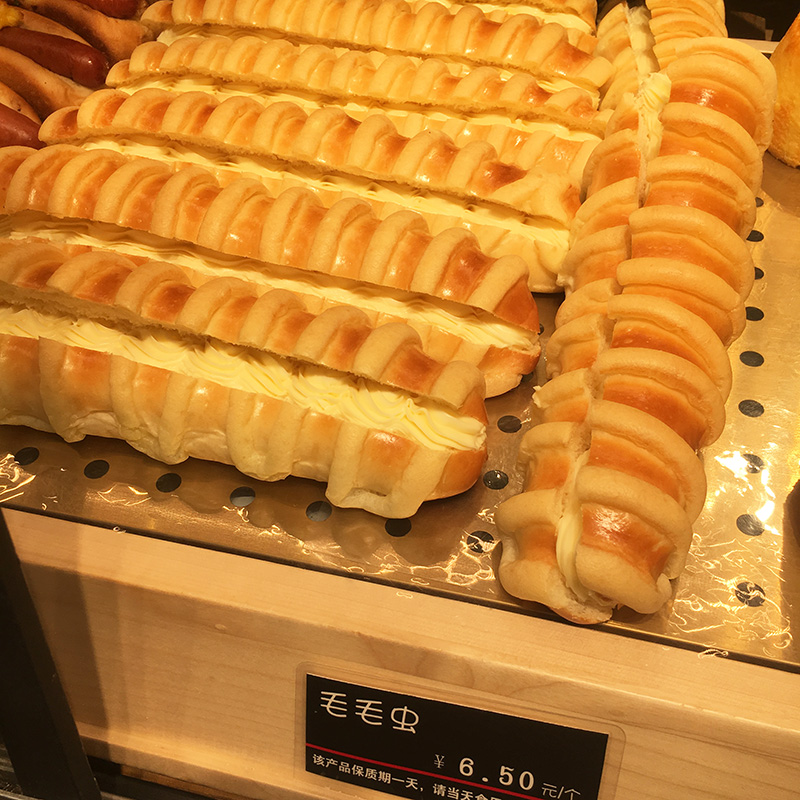 毛毛蟲