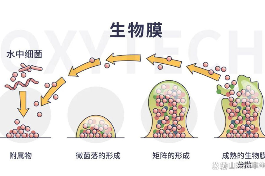分享食品制药等行业微生物解决方案，提供专业消毒产品、技术咨询、消毒服务等