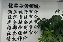 金融企业审计业务