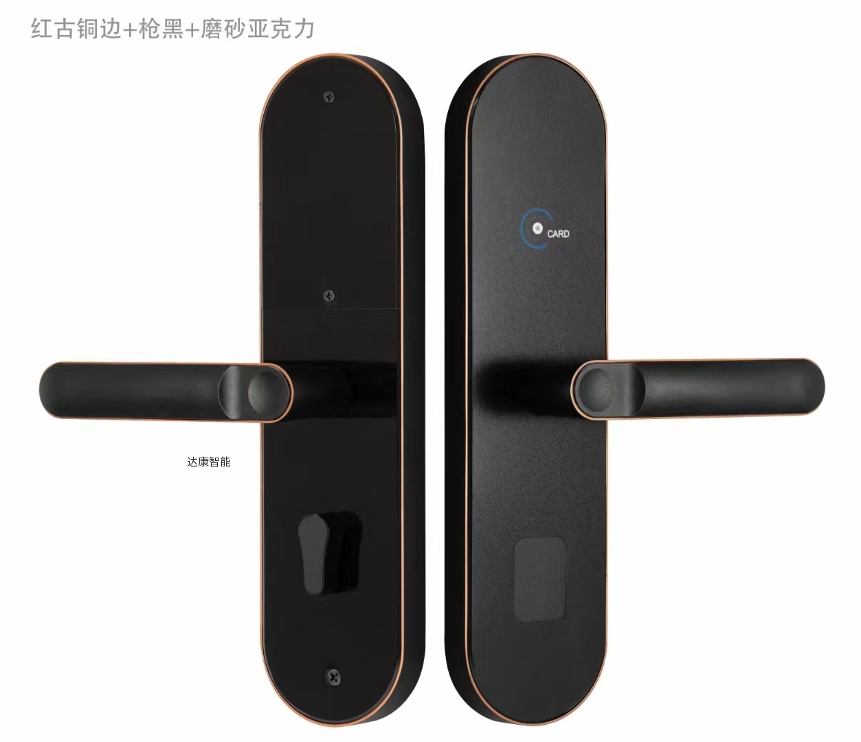 JDJS22配电子锁体