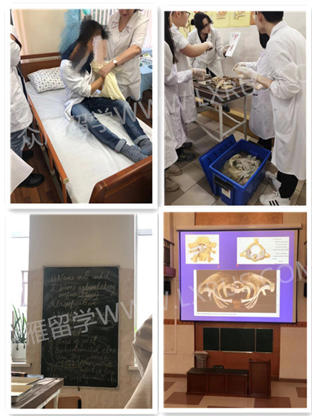 莫斯科国立谢东诺夫第一医科大学课堂