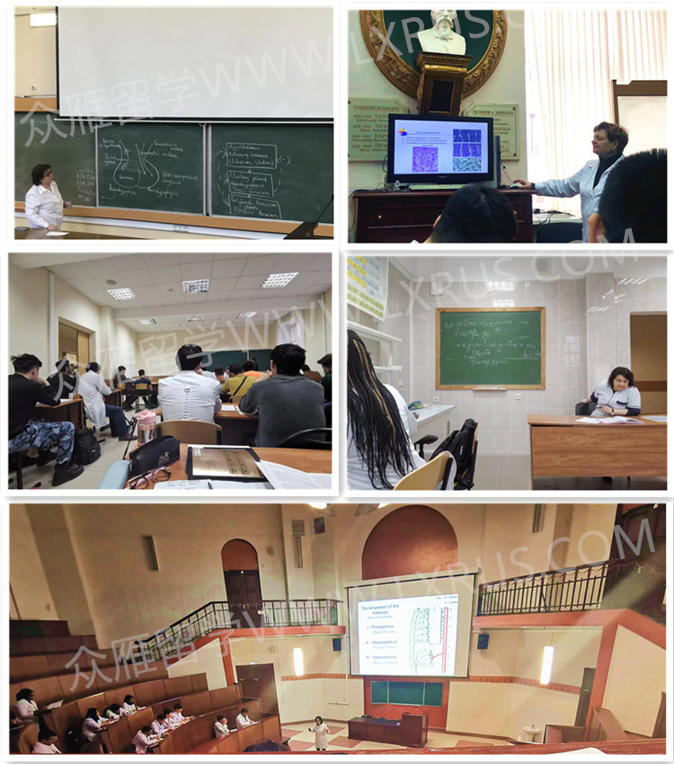 莫斯科国立谢东诺夫第一医科大学课堂