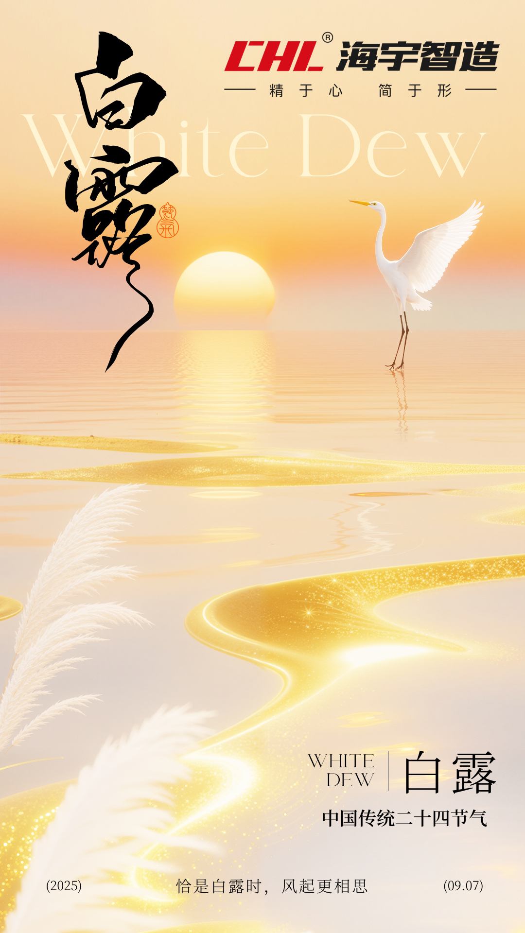 白露｜一夕秋凉，露凝清欢