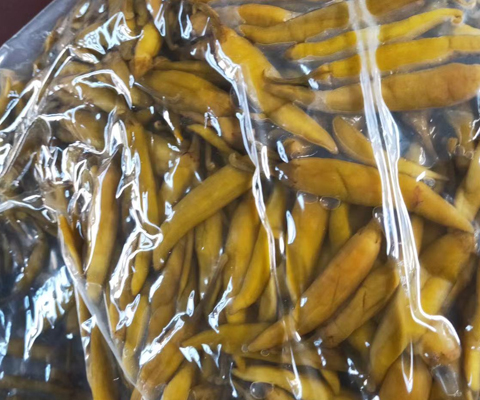 青阳辣椒