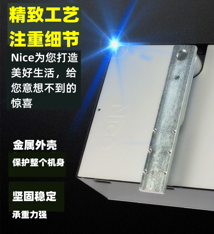意大利耐氏Nice豪华重型地埋式平开门电机BIG-FAB
