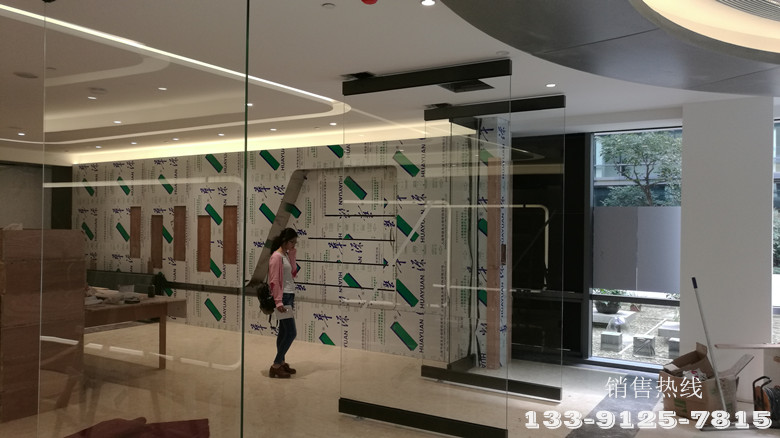 上海申龙集团展厅-意大利进口BFT地埋式开门机ELI250