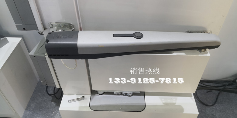 意大利Nice开门机