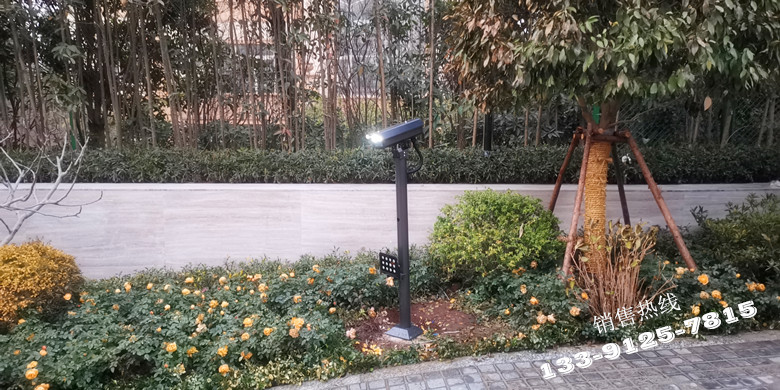 佘山东紫园玲珑华府-铸铝门及车牌识别系统