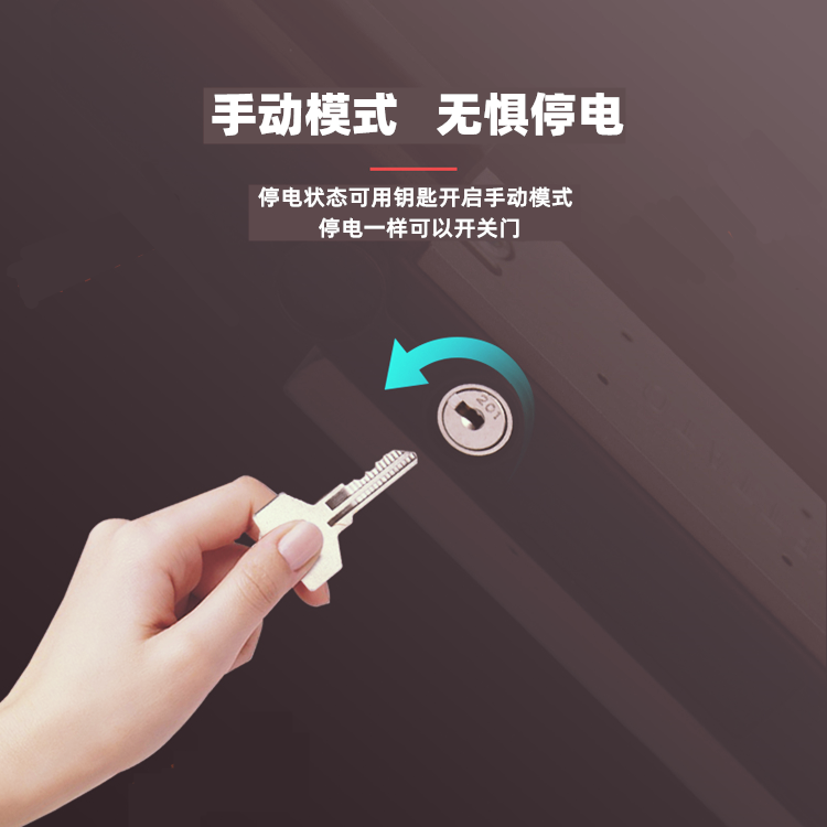 意大利法柯FAAC地埋式平开门电机770