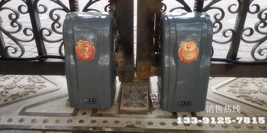 虹桥路2386号-卡诺林豪华双轮重型遥控开门机DCK999