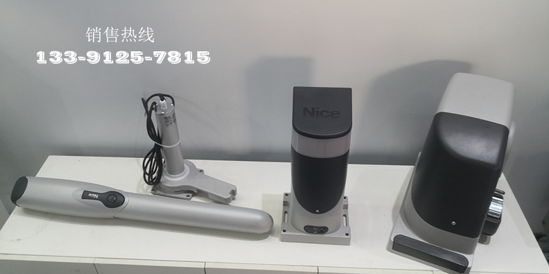 意大利Nice开门机