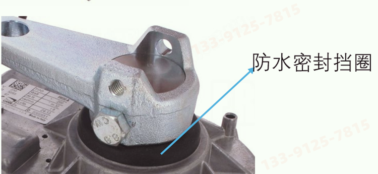 意大利CAME地埋式开门机Frog-A系列