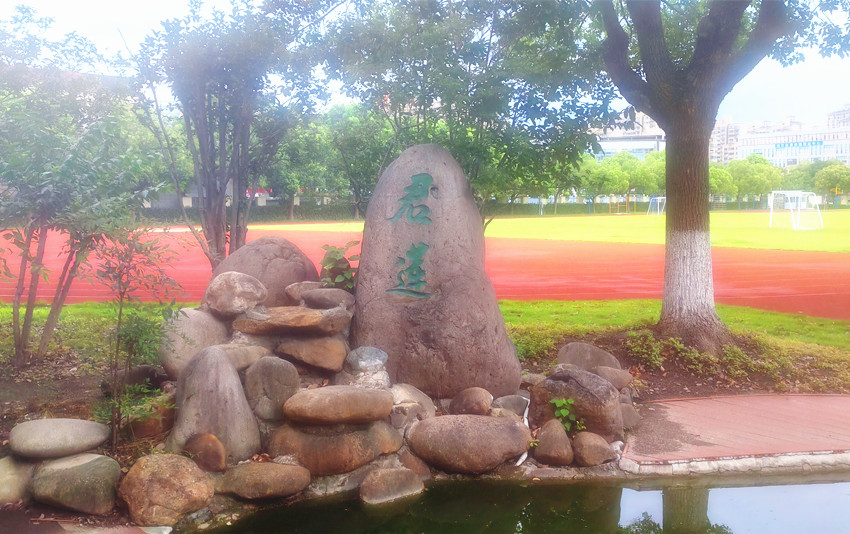 上海君莲学校-卡诺林CANUOL轮式智能遥控平开门机DCK690
