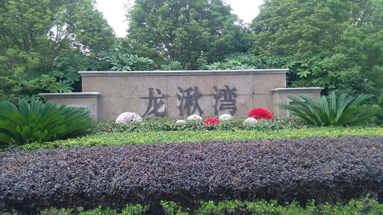 龙湫湾-意大利耐氏Nice直臂平开门电机Wingo
