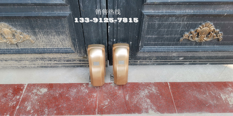 颐景园102号-阿尔卡诺ALCANO别墅庭院八字对开门机PM180
