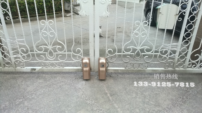  听潮南路-阿尔卡诺ALCANO走轮式八字开门机PM180