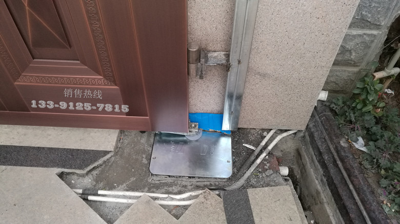 上虞某私家别墅-意大利进口CAME地埋平开门机Frog