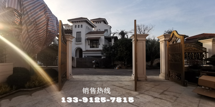 意大利FAAC地埋式开门机