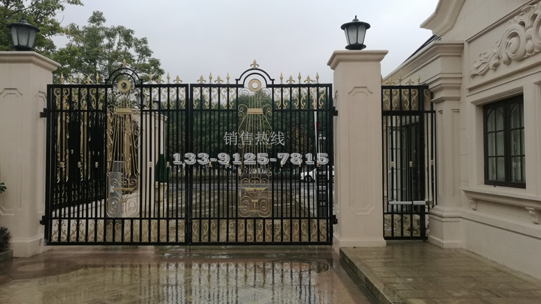 昆山金大元御珑宫廷-意大利FAAC人行通道专用液压开门机422PED