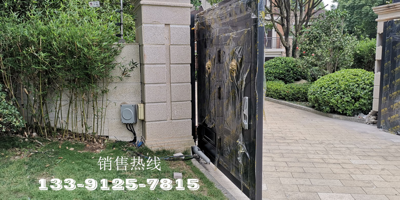 杭州阳明谷-意大利进口耐氏Nice直臂平开门机Wingo