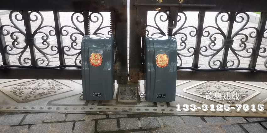 虹桥路2386号-卡诺林豪华双轮重型遥控开门机DCK999