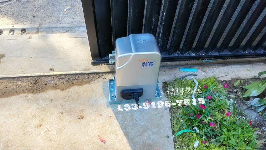 上隽嘉苑东区别墅107-Nice直臂电机WG4000&阿尔卡诺平移电机ML370