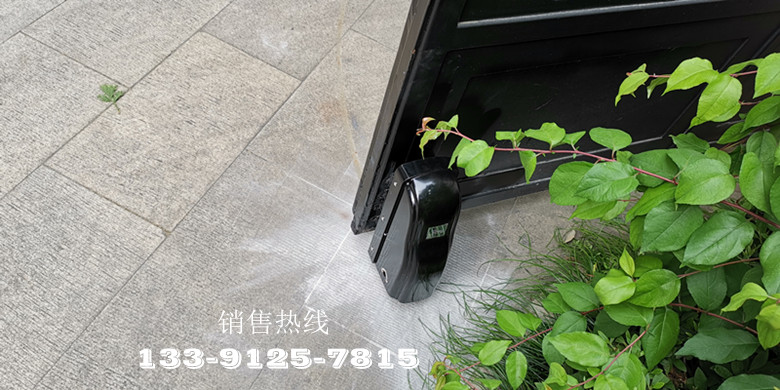 兴国路别墅-阿尔卡诺(ALCANO)智能遥控八字开门机PM180