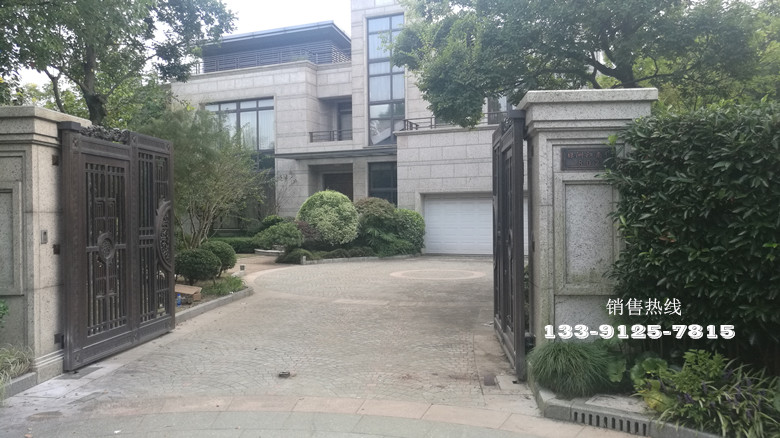 绿洲江南园-意大利进口耐氏Nice直臂式开门机Wingo