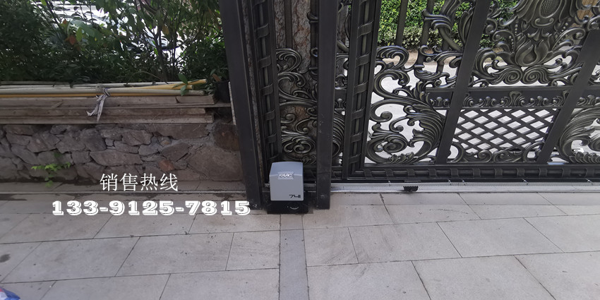 古北佘山国际68号-意大利FAAC平移门电机741 古北佘山国际68号-意大利FAAC平移门电机741