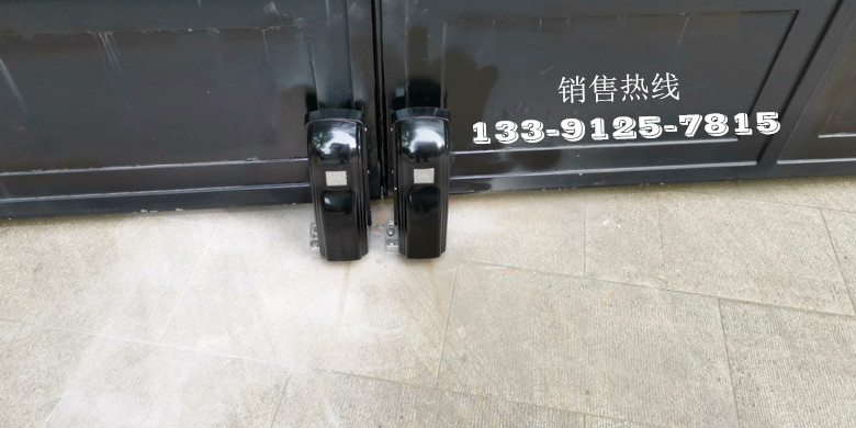 兴国路别墅-阿尔卡诺(ALCANO)智能遥控八字开门机PM180
