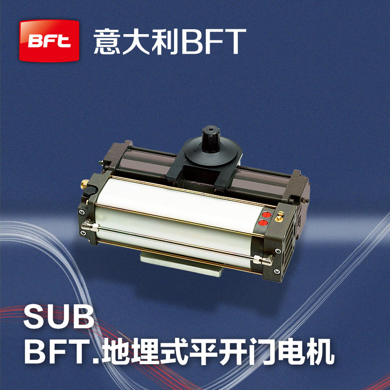 河南安阳殷墟博物馆-意大利BFT液压地埋式开门机SUB
